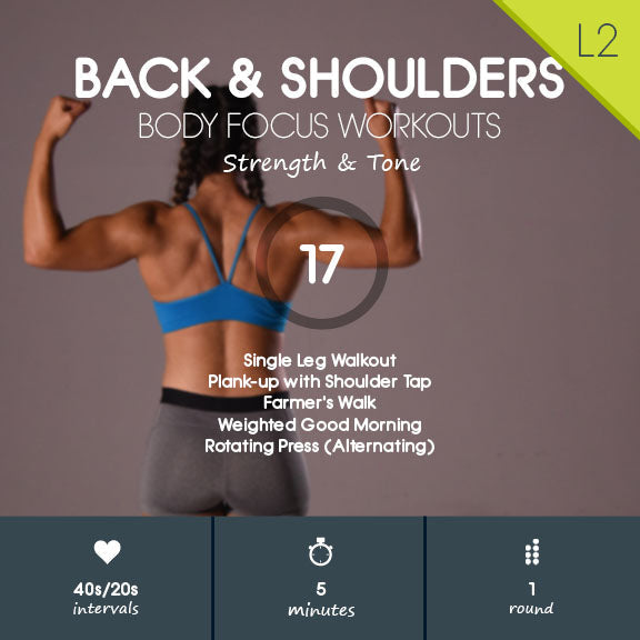 back and shoulders workout