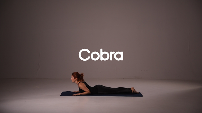 Cobra